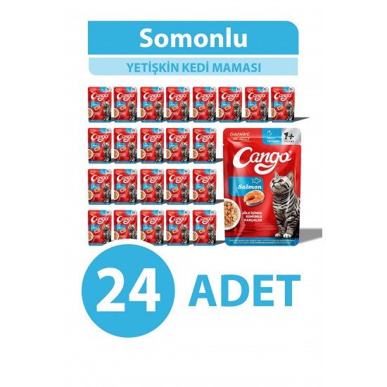Cango Yaş Yetişkin Kedi Maması Somonlu 80 GR 24 Adet
