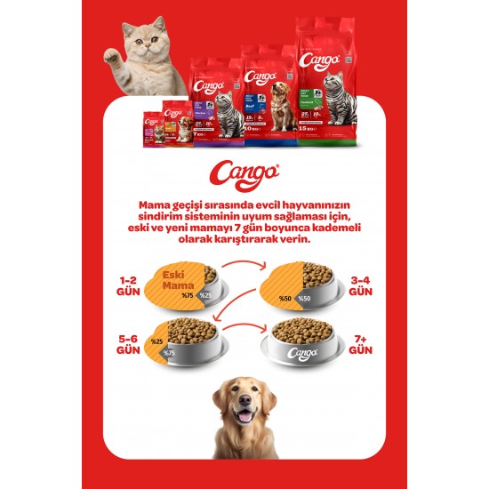 Cango Yetişkin Kedi Maması Tavuk Etli 1 Kg