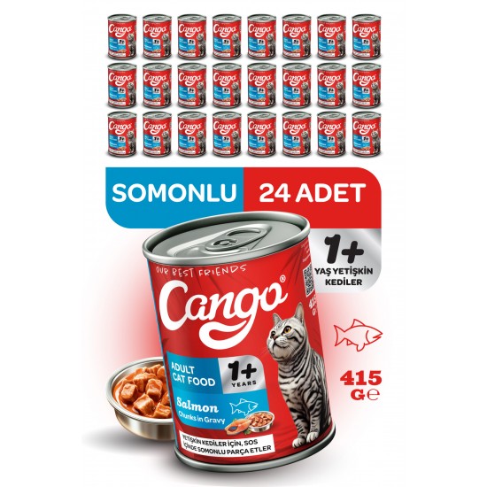 Cango Yetişkin Yaş Kedi Maması Somonlu 415Gr 24Lü