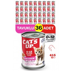 Cats Up Yaş Yavru Kedi Maması Tavuklu 415gr 36Lı