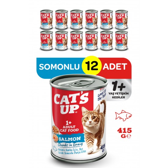 Cats Up Yaş Yetişkin Kedi Maması Somonlu 415gr 12Li