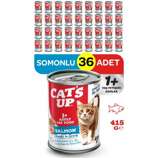 Cats Up Yaş Yetişkin Kedi Maması Somonlu 415gr 36Lı