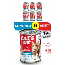 Cats Up Yaş Yetişkin Kedi Maması Somonlu 415gr 6Lı