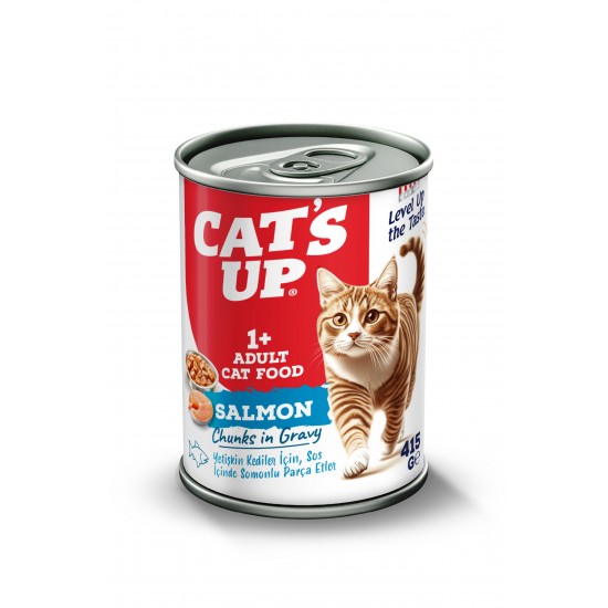 Cats Up Yaş Yetişkin Kedi Maması Somonlu 415gr 6Lı